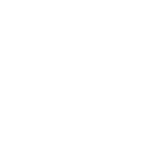 Worldwide Mobility